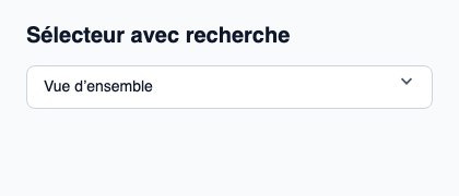 Combobox Slint pour rechercher une option et choisir une valeur.