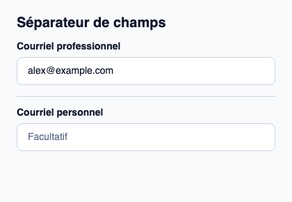 Trait discret séparant des groupes dans un formulaire.