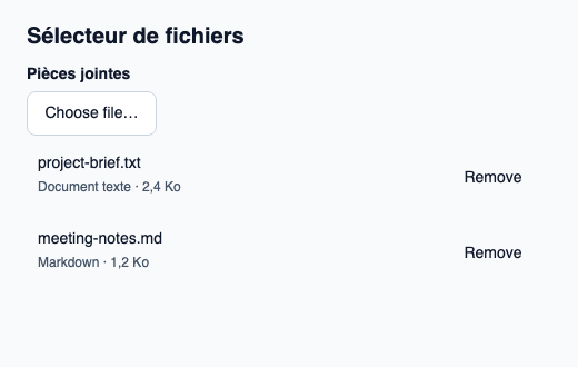 Action Parcourir et liste des fichiers reliées à une boîte de dialogue native.