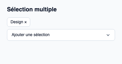 Sélecteur multiple avec des étiquettes amovibles pour les valeurs retenues.