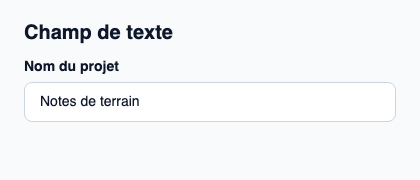 Saisie native sur une ligne avec libellé et message de validation.