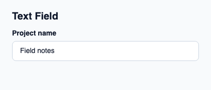 Single-line native text input with a label and validation feedback.
